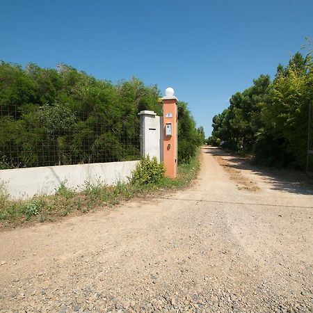 Fattoria Corte Noa Guest House Masainas Екстериор снимка